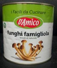 FUNGHI CHIODINI 3KG D'AMICO FAMIGLIOLA