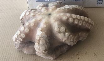 POLPO T3 ORIEN. IQF 10% C. octopus vulgaris