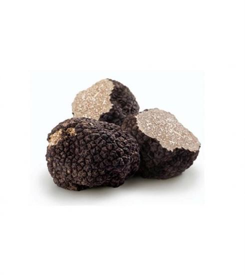 TARTUFO ESTIVO INTERO NERO ASIAGO 100GR