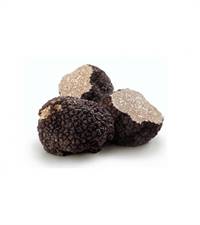 TARTUFO ESTIVO INTERO NERO ASIAGO 100GR